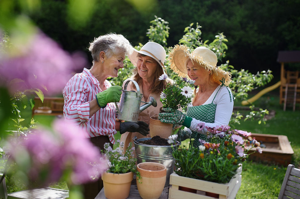 Elderly women gardening