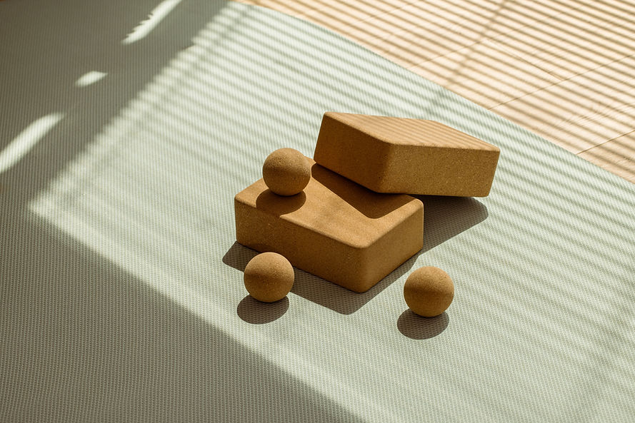 Cork Yoga Props