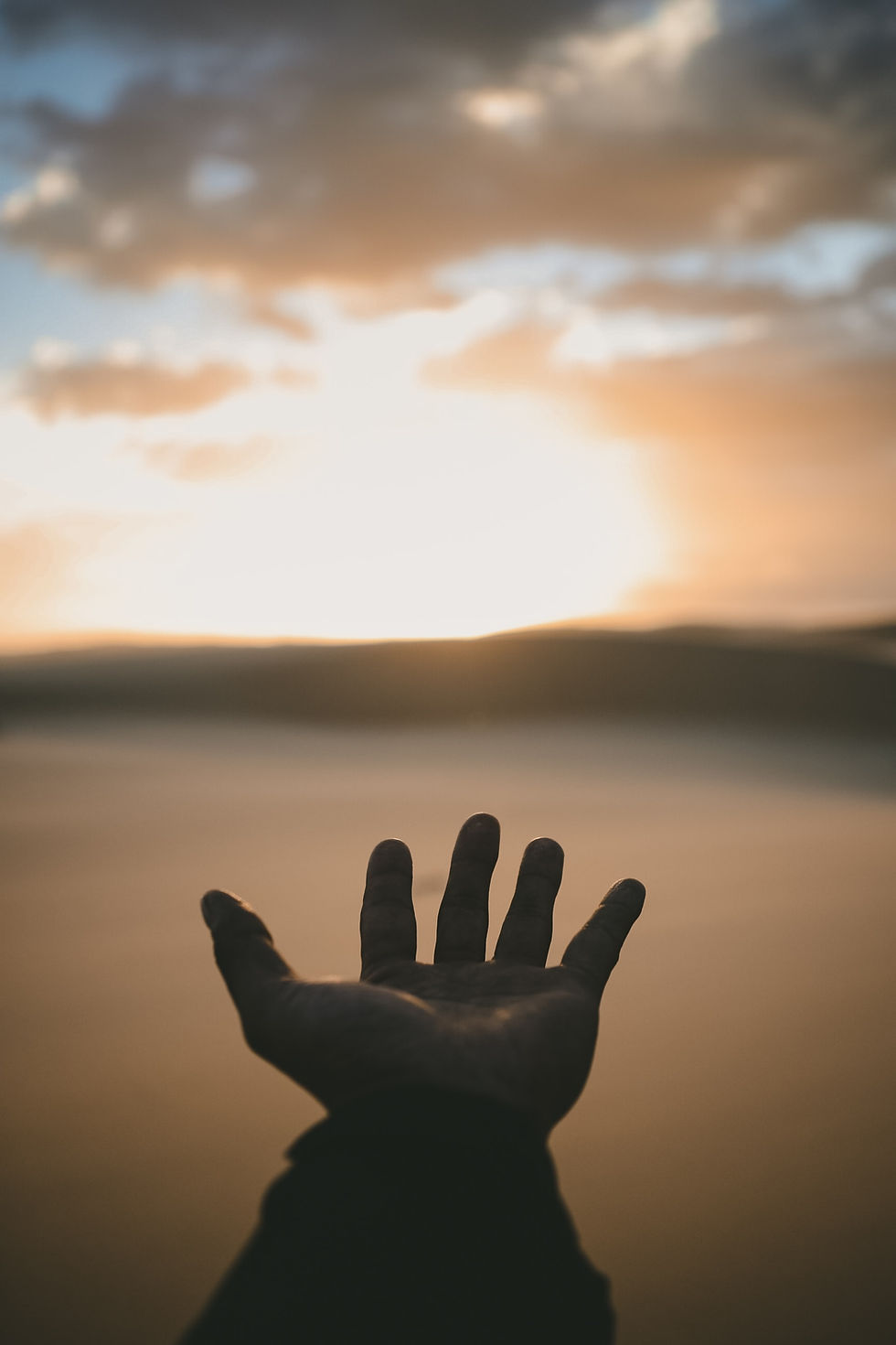 Hand Reaching Sunset
