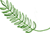 Green Leaf Illustration