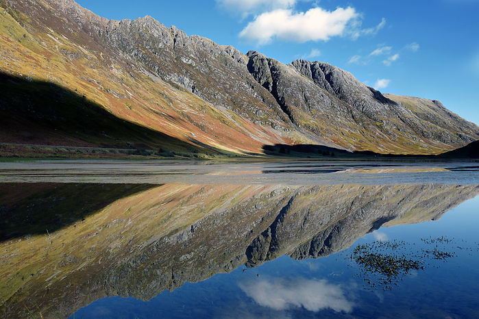 Reflection