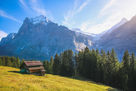 Capanna di legno