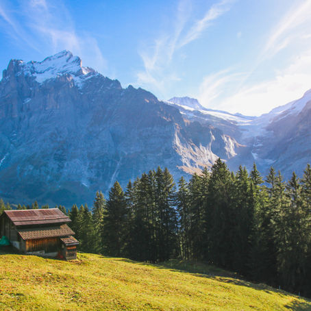 FBAR and FATCA - Foreign Account and Asset Reporting for US Expats