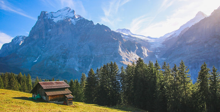 Cabane en bois