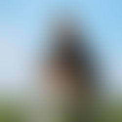 Når kroppen reagerer før tanken – kroppslige signaler som tidlige varsler om overbelastning