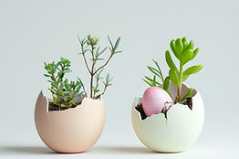 Eggshell Planters