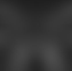 S. FREDERIC LISS | Buried Along With Her Name