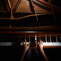 Playing the Piano