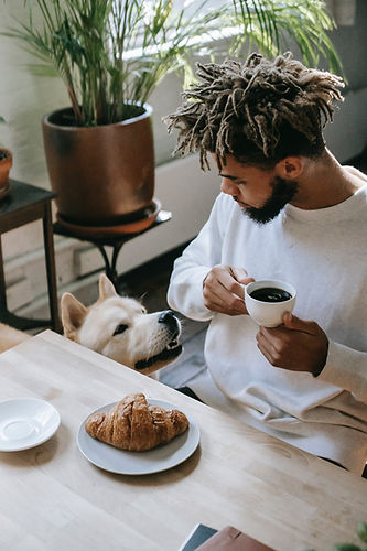 Breakfast With Dog
