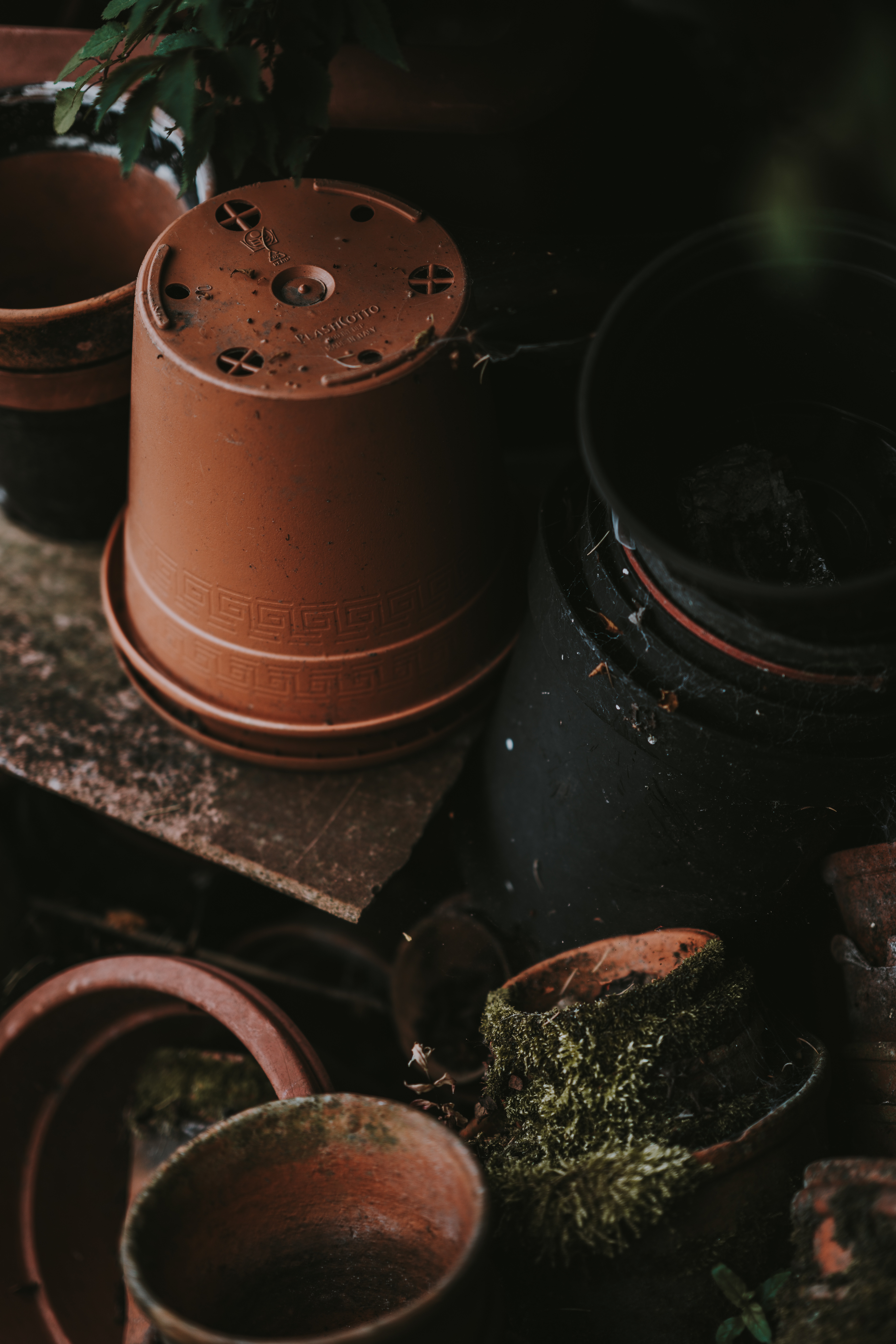 Vasos de plantas empilhados