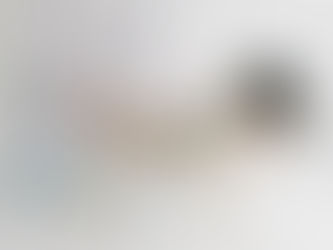 Chi si prende cura di noi?La realtà invisibile della medicina veterinaria e come il Reiki può aiutare