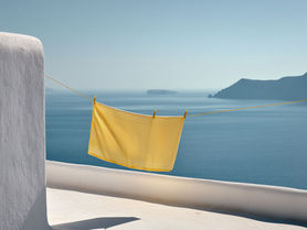 Sail Into 2026 with Your Pass to Travel