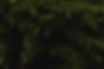 Nature Background