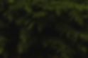 Fondo de la naturaleza