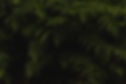 Naturhintergrund
