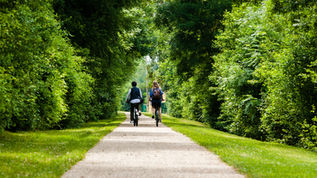Piste ciclabili, va avanti l'iter negli otto comuni della Riviera dei cedri