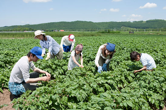 At Work on the Farm