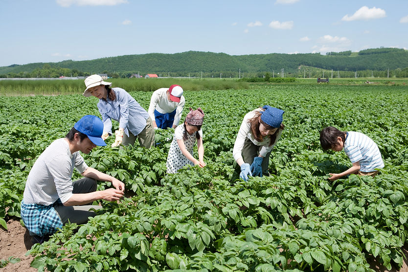 W pracy w gospodarstwie