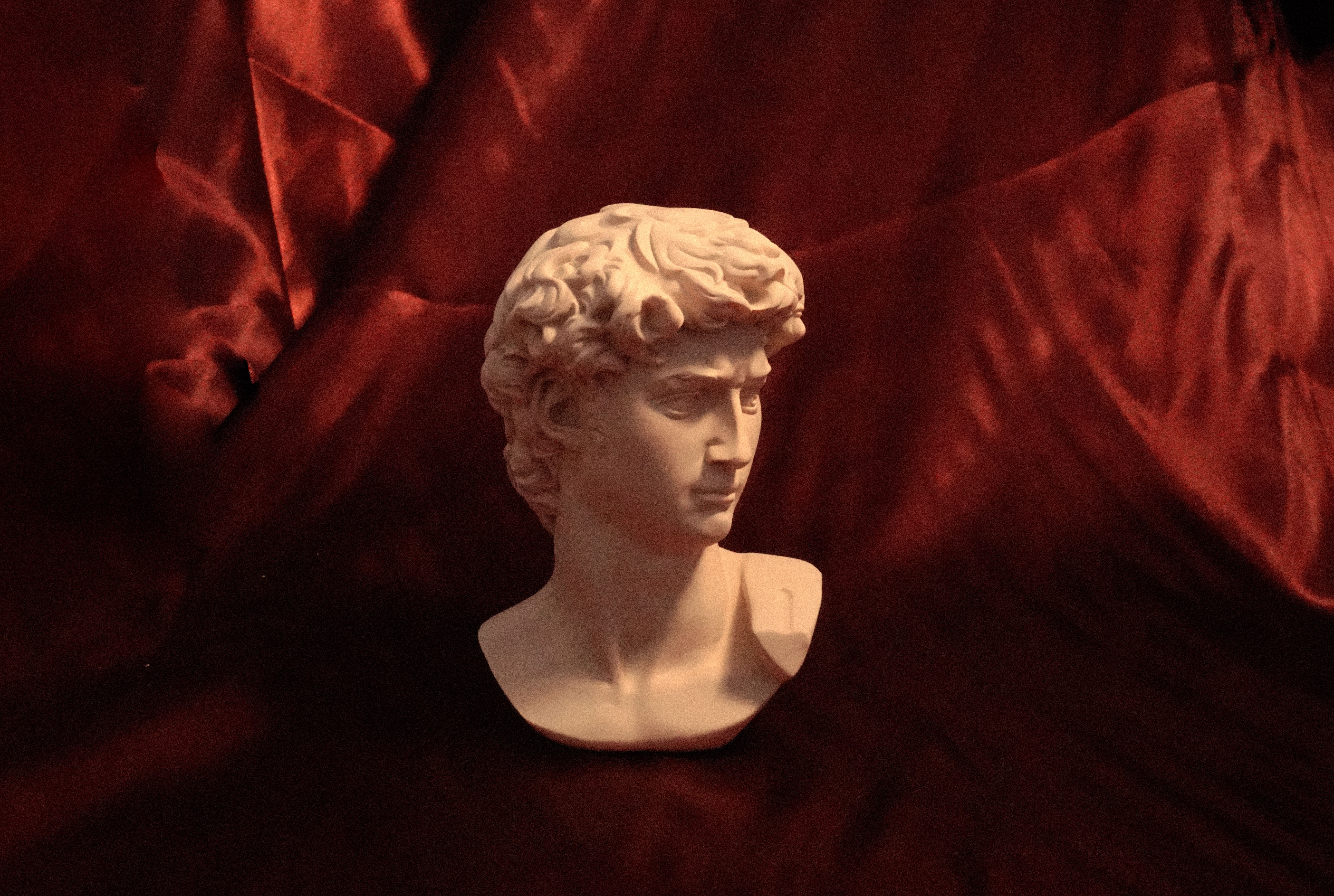 Bust