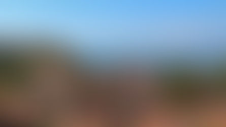 Santa Barbara in a Day