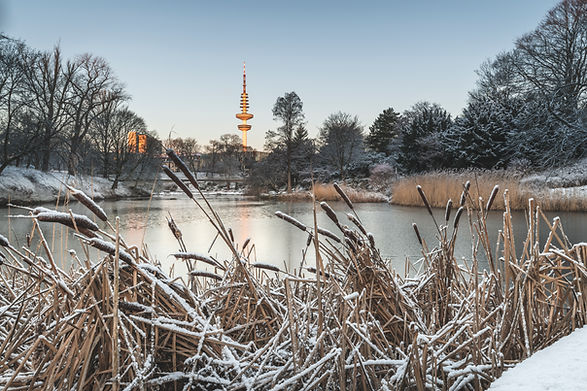 Winterlandschaft