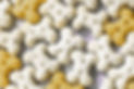 Close-up of Dog Treats