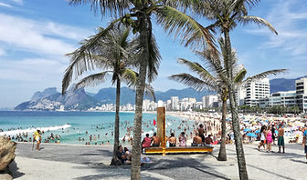 Palmeiras na praia do Rio de Janeiro