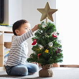 Miniature Christmas Tree