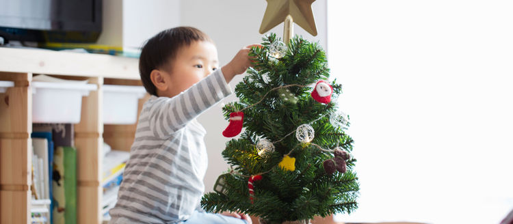 HOLIDAY SEASON DECOR