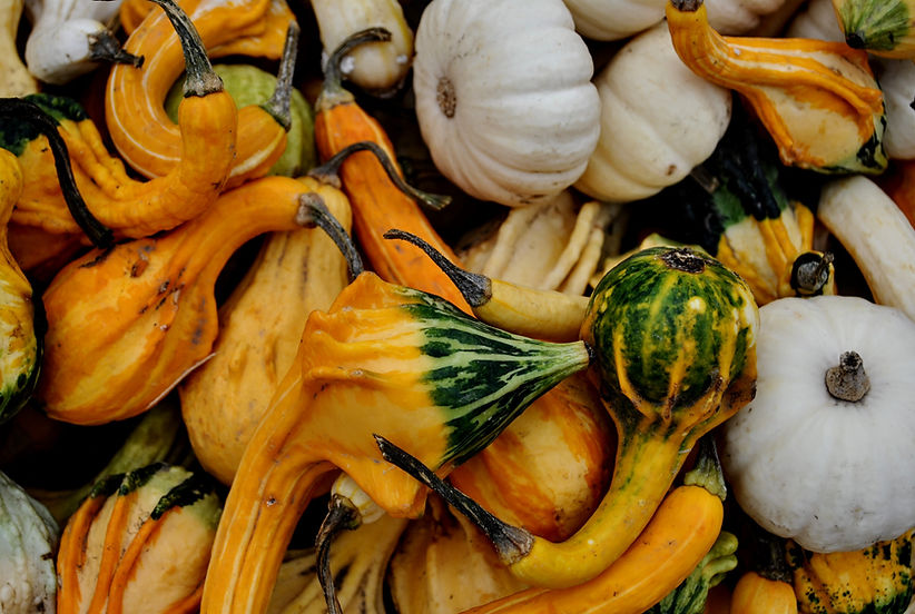 Colorful Gourds Display
