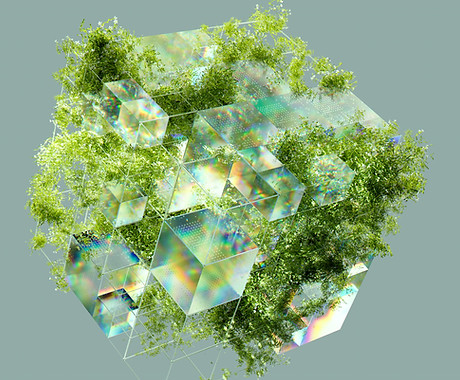 Geometric Nature Cube