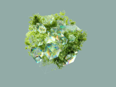 Edibles.com Expands Nationwide, Bringing Premium THC Wellness Brands to the Majority of the U.S.