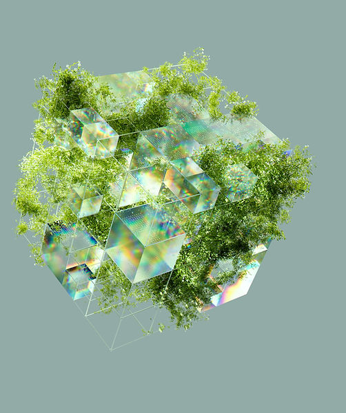 Floating Square Garden