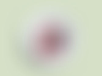 Is Monk Fruit Sweetener Healthy?