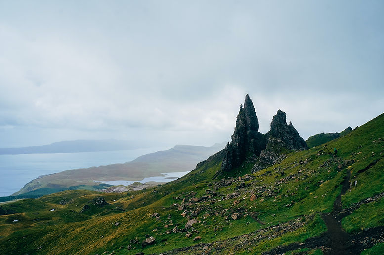 Wild Scenery