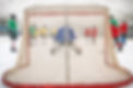 Hockey Game