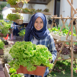 Organic Garden