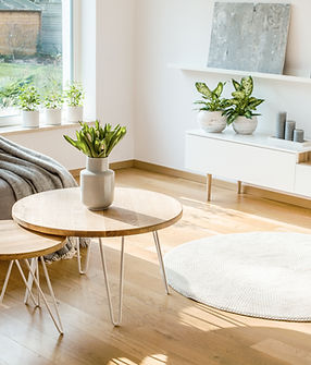 Freundliches Wohnzimmer - Bewerbungsformular Miewohnung