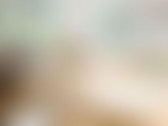 From Lens to Sale: How Post-Processing Skills Influence Buyer Perceptions and Offers