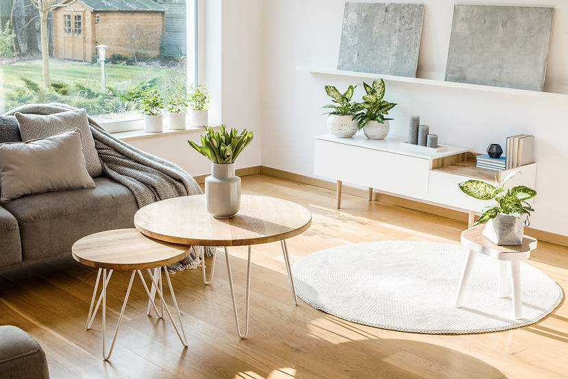 Bright Living Room