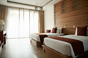 Luxurious Hotel Room