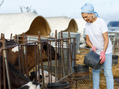 Encuesta para mejorar el empleo de la mujer en el medio rural