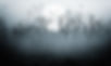 Bare Trees in Fog