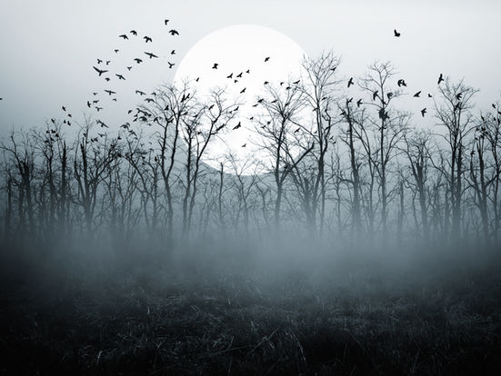 Astrology for January 9-15 2025