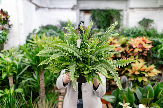 Garden center