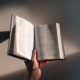 What I Learned from Voracious Readers Only