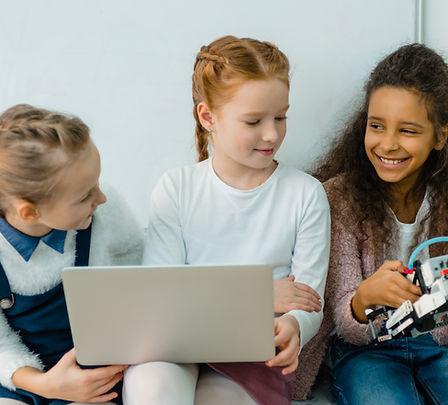 interaktif online sertifika