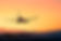 Aterrizaje de avión al atardecer