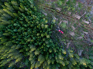 Aerial View of Deforestation