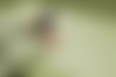 Cómo realizar pagos seguros con tarjeta de crédito o débito VISA y MasterCard utilizando el enlace de pago NeoLink